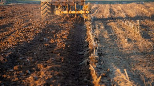 Tire tracks on dirt road