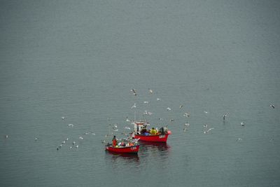 High angle view of ship sailing in sea