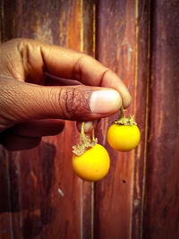 Close-up of hand holding fruit