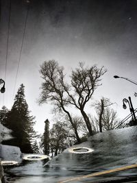 Tree and sky reflection in puddle on street