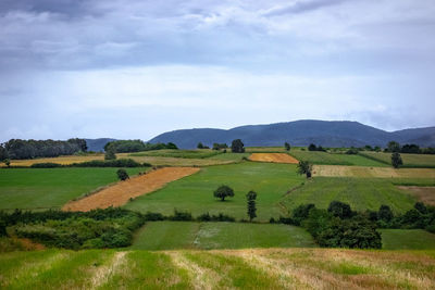 Scenic view of farm against sky