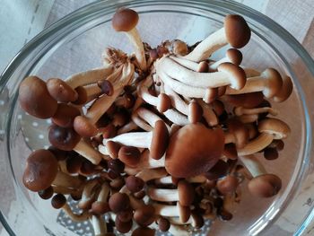 High angle view of chopped mushrooms in bowl