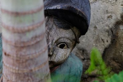 Close-up of carving on metal wall