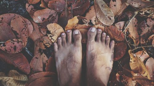 Low section of person on leaves during autumn