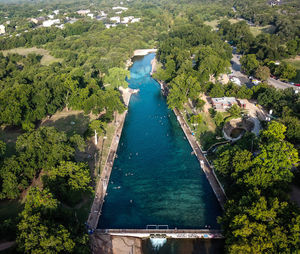 High angle view of trees by sea