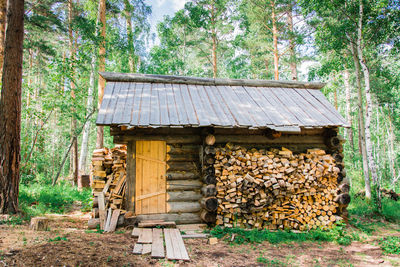 A lonely old house of the forester and a pile of firewood nearby in a forest glade