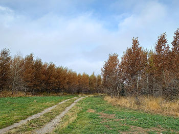 Scenic view of field against sky