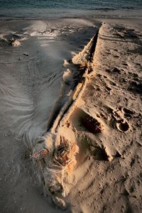 View of beach