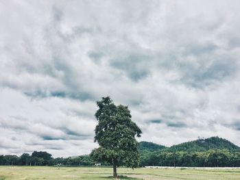 Scenic view of tree on grassy field against cloudy sky