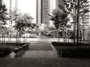 Street amidst buildings in park