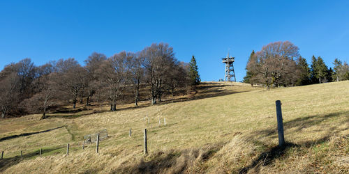 Scenic view of field against clear blue sky