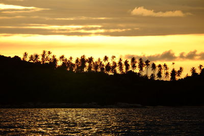 Silhouette trees by sea against sky during sunset