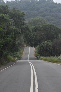 Empty road along trees and plants