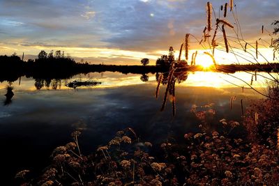 Scenic view of lake at sunset