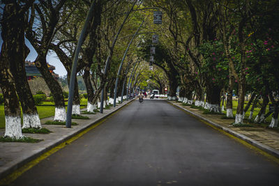 Road amidst trees in city