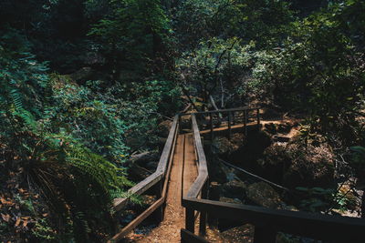 High angle view of footbridge amidst trees in forest