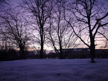 Bare trees on snow covered field against sky