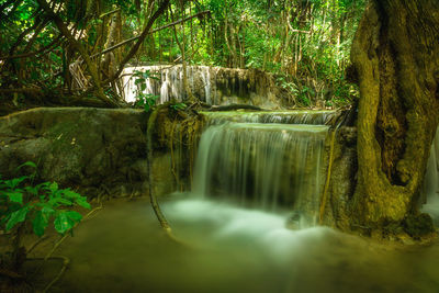 Scenic view of waterfall in forest