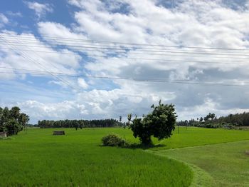 Scenic view of field against sky