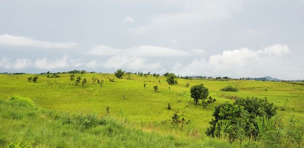 Scenic view of field against sky