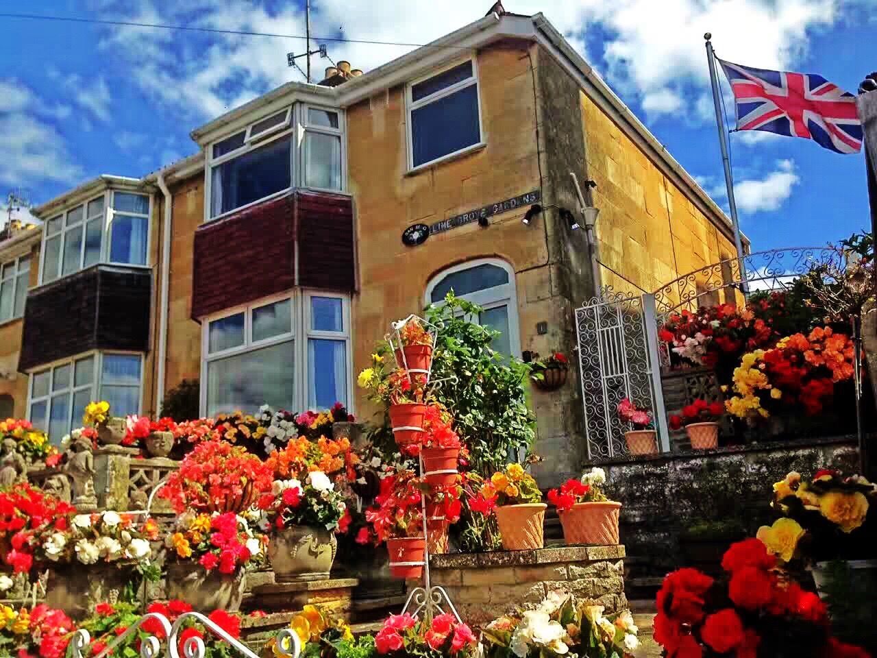 flower, architecture, plant, building exterior, built structure, potted plant, flower pot, growth, freshness, variation, day, fragility, sky, bouquet, cloud - sky, outdoors, nature, choice, red, blooming, tall - high, beauty in nature, retail, collection