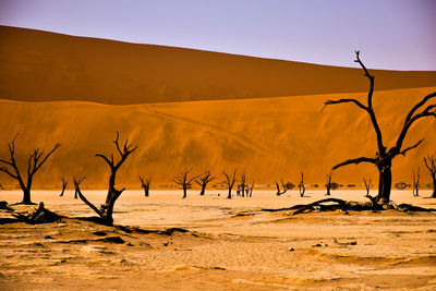 Scenic view of desert against sky