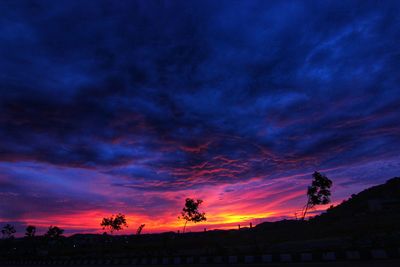 Silhouette of trees against dramatic sky