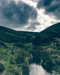 Scenic view of landscape against sky