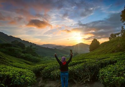 Rear view of person standing on landscape against sky during sunset