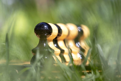 Close-up of chess pieces