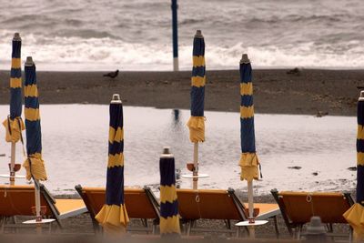 Closed parasols with deck chairs at beach