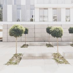 Plants against building