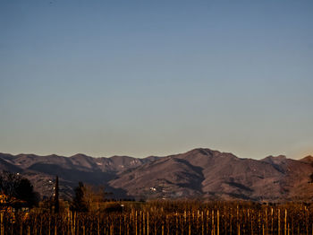 Scenic view of field and mountains against clear sky