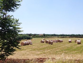 Hay bales on field against clear sky
