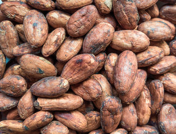 Cacao beans close up