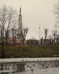 Birds flying over built structure