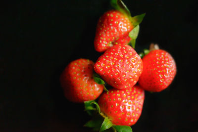 Close-up of strawberries