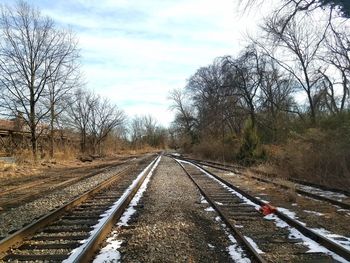 View of railway tracks along bare trees