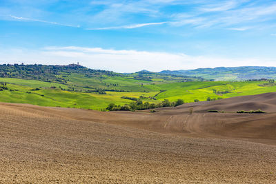 Italian rural landscape in the spring with new sown field