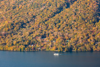 Scenic view of lake in forest during autumn