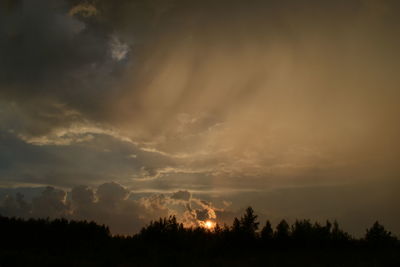 Low angle view of silhouette trees against sky during sunset