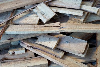 Full frame shot of wooden logs in forest