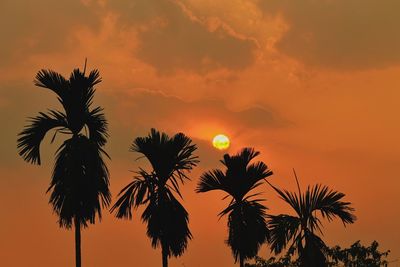 Silhouette of palm trees against sky during sunset