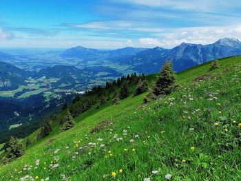 Scenic view of landscape against sky