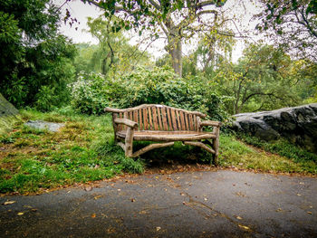 Chair in forest