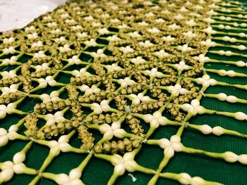 High angle view of white flowers on table