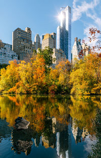 Reflection of trees in city