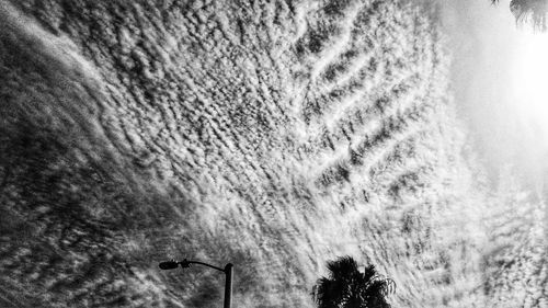 Low angle view of tree against sky