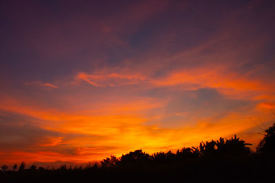 Silhouette trees on field against romantic sky at sunset