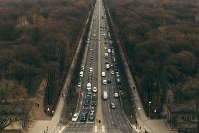 Cars moving on road amidst trees